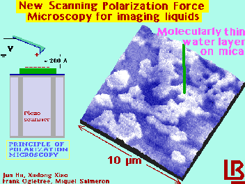 [microscope]